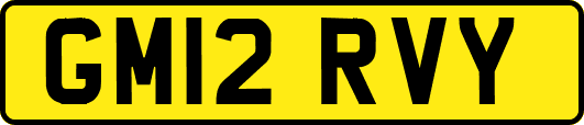 GM12RVY