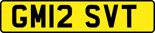 GM12SVT