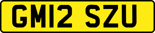GM12SZU