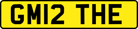GM12THE