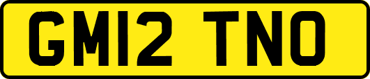 GM12TNO