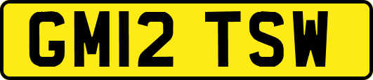 GM12TSW