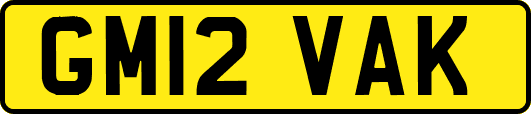 GM12VAK