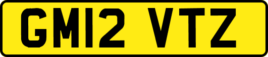 GM12VTZ