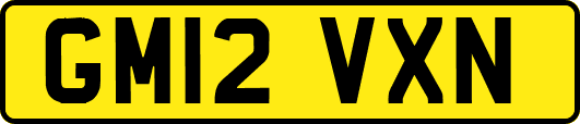 GM12VXN