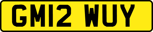 GM12WUY