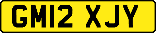 GM12XJY