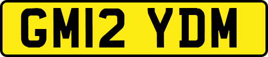 GM12YDM