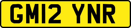 GM12YNR