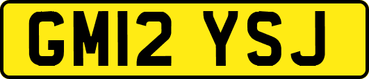 GM12YSJ