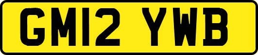 GM12YWB