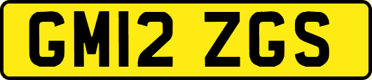 GM12ZGS