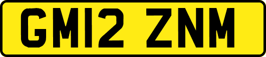 GM12ZNM