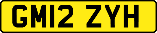 GM12ZYH