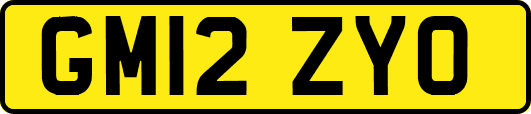 GM12ZYO