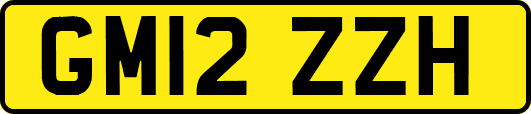 GM12ZZH