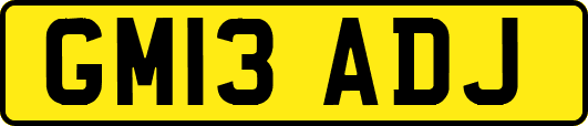 GM13ADJ