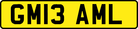 GM13AML