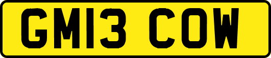 GM13COW