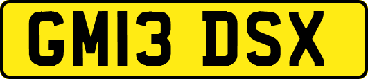 GM13DSX