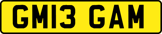 GM13GAM