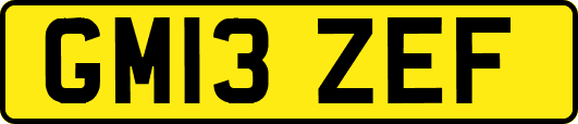 GM13ZEF