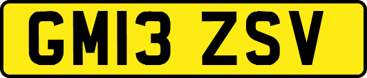 GM13ZSV
