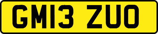 GM13ZUO