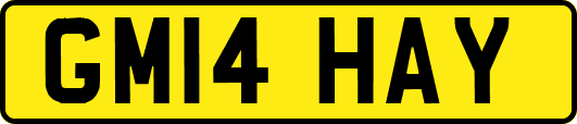 GM14HAY