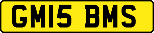 GM15BMS