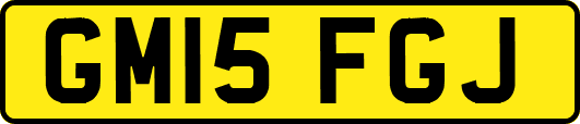 GM15FGJ