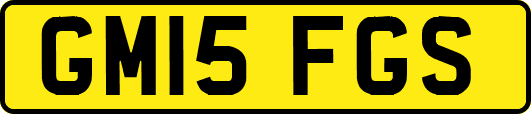 GM15FGS