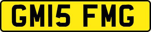 GM15FMG