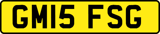 GM15FSG