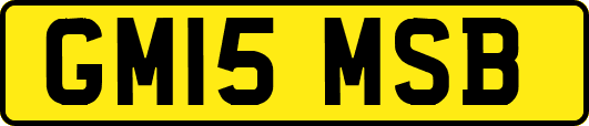 GM15MSB