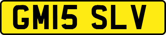 GM15SLV
