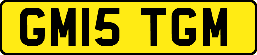 GM15TGM