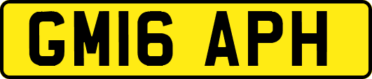 GM16APH