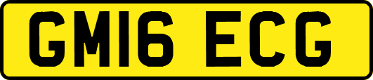 GM16ECG