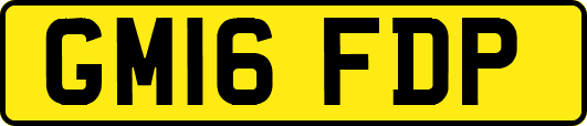 GM16FDP