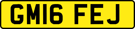 GM16FEJ