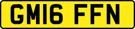 GM16FFN
