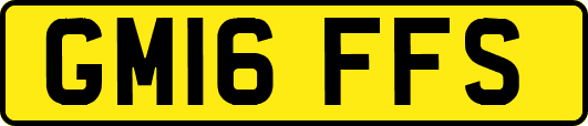 GM16FFS