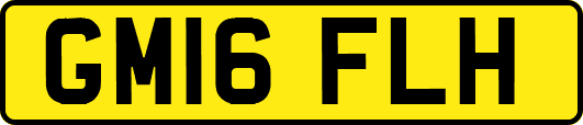 GM16FLH