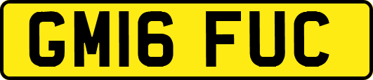 GM16FUC