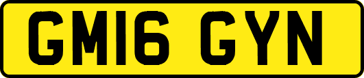 GM16GYN