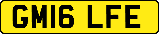 GM16LFE