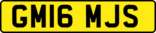 GM16MJS