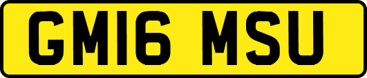 GM16MSU