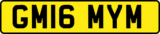 GM16MYM